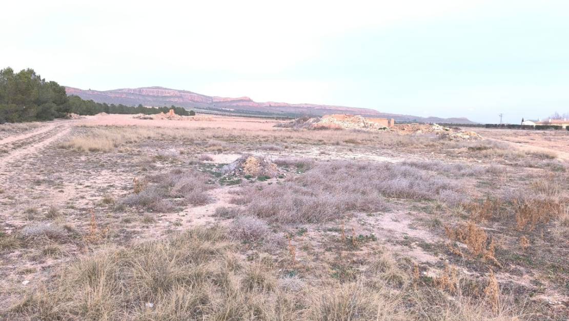 Venta - Land - Yecla - Yecla Centro