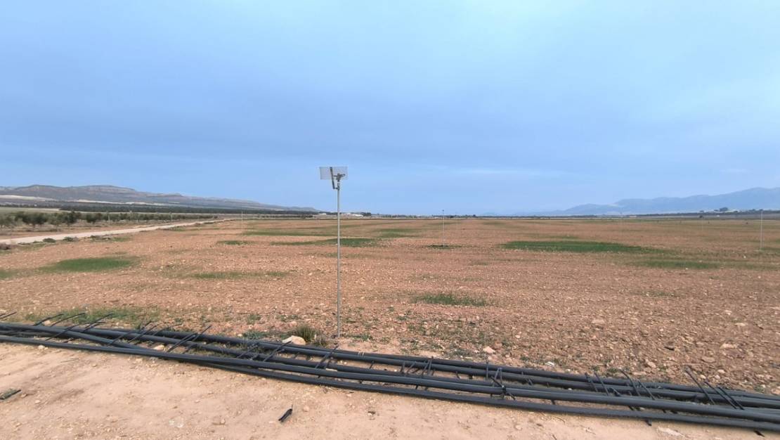 Venta - Land - Yecla - Yecla Centro