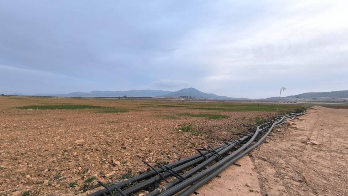 Venta - Land - Yecla - Yecla Centro