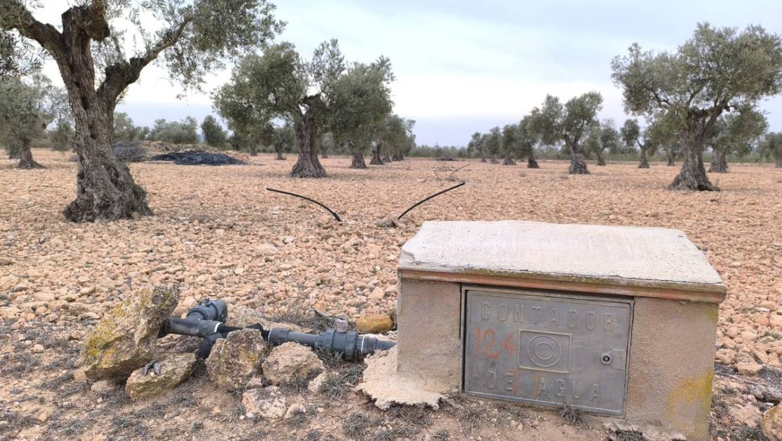 Venta - Land - Yecla - Yecla Centro