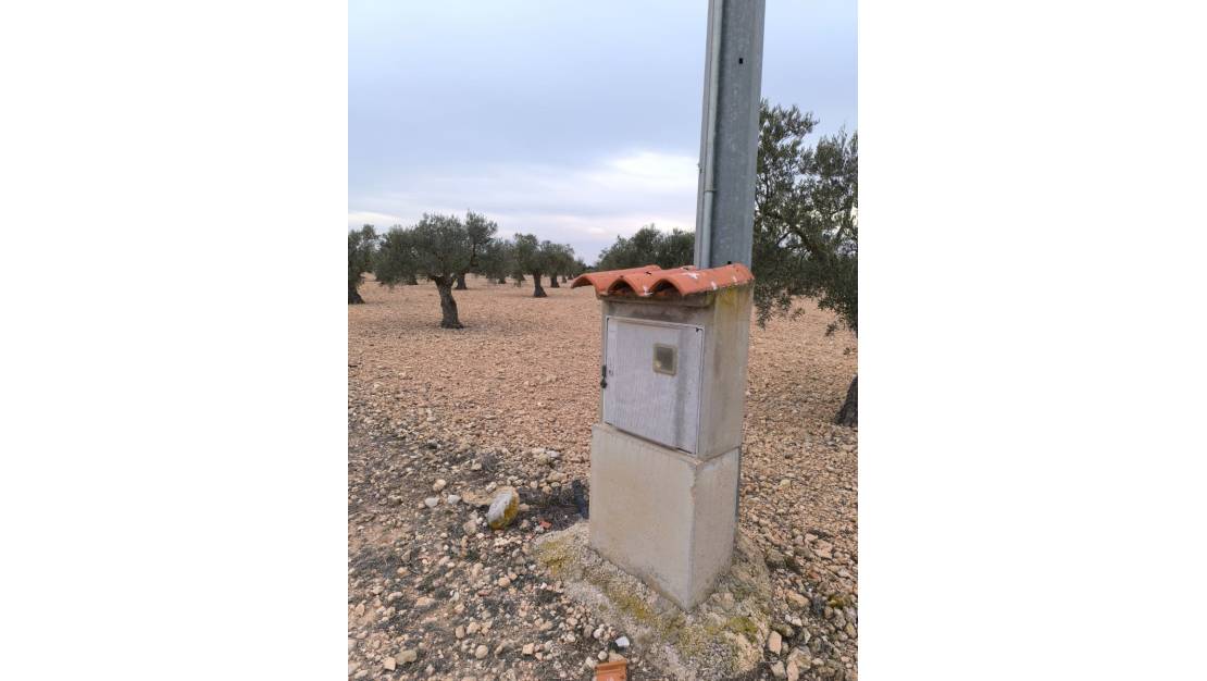 Venta - Land - Yecla - Yecla Centro