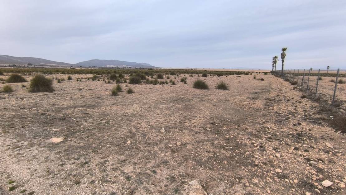 Venta - Land - Yecla - Yecla Centro