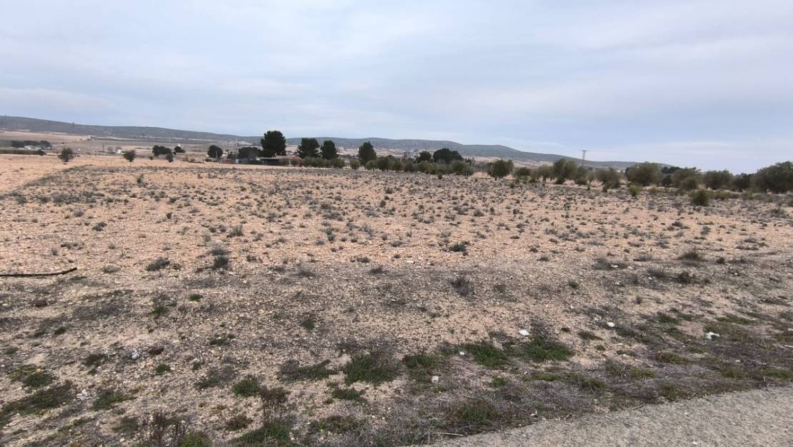 Venta - Land - Yecla - Yecla Centro