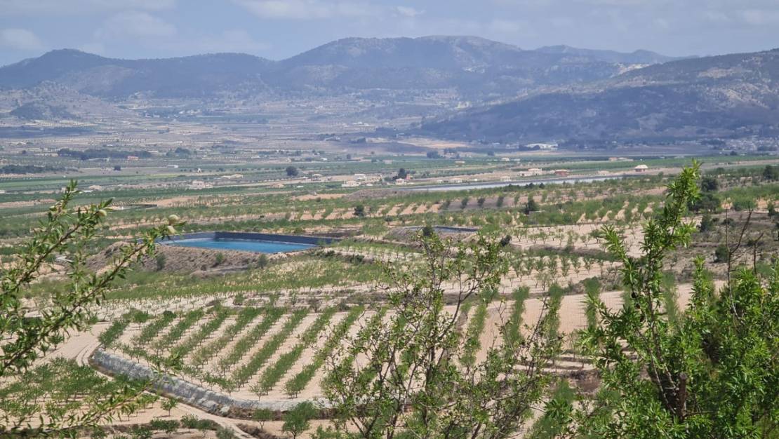 Venta - Land - Yecla - Yecla Centro