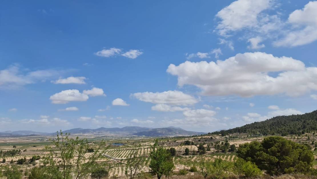 Venta - Land - Yecla - Yecla Centro