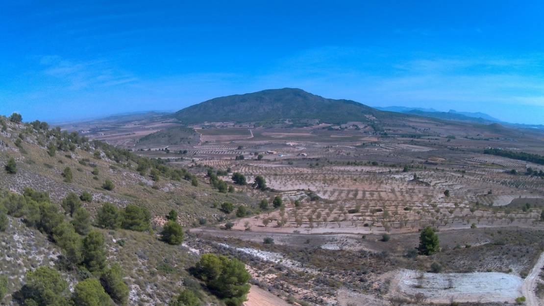 Venta - Land - Yecla - Yecla Centro