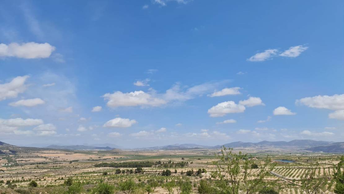 Venta - Land - Yecla - Yecla Centro