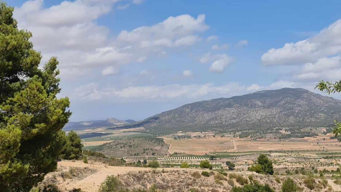 Venta - Land - Yecla - Yecla Centro