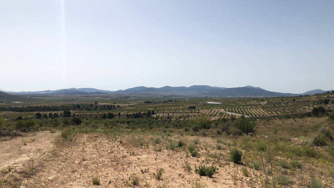 Venta - Land - Yecla - Yecla Centro