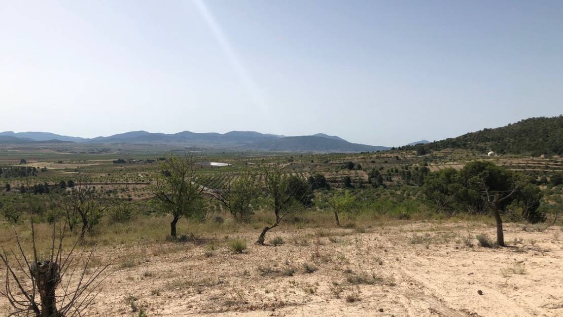 Venta - Land - Yecla - Yecla Centro