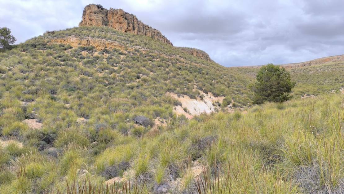 Venta - Land - Yecla - Yecla Centro