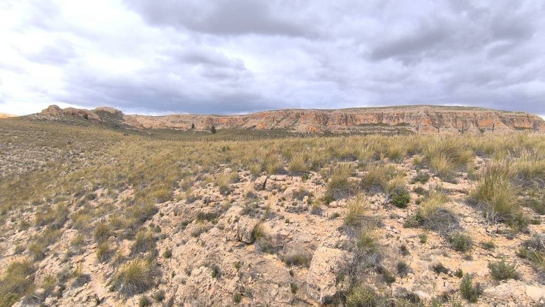 Venta - Land - Yecla - Yecla Centro