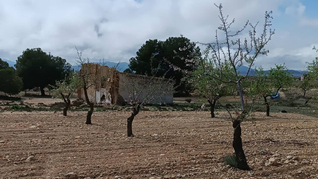 Venta - Land - Yecla - Yecla Centro
