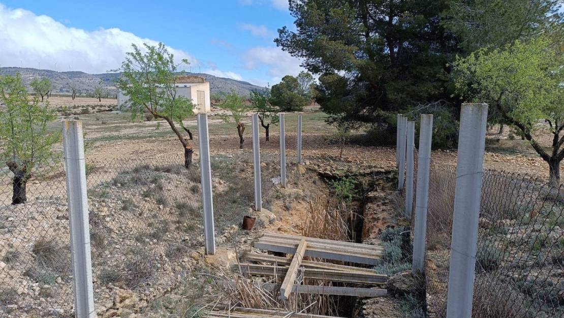 Venta - Land - Yecla - Yecla Centro