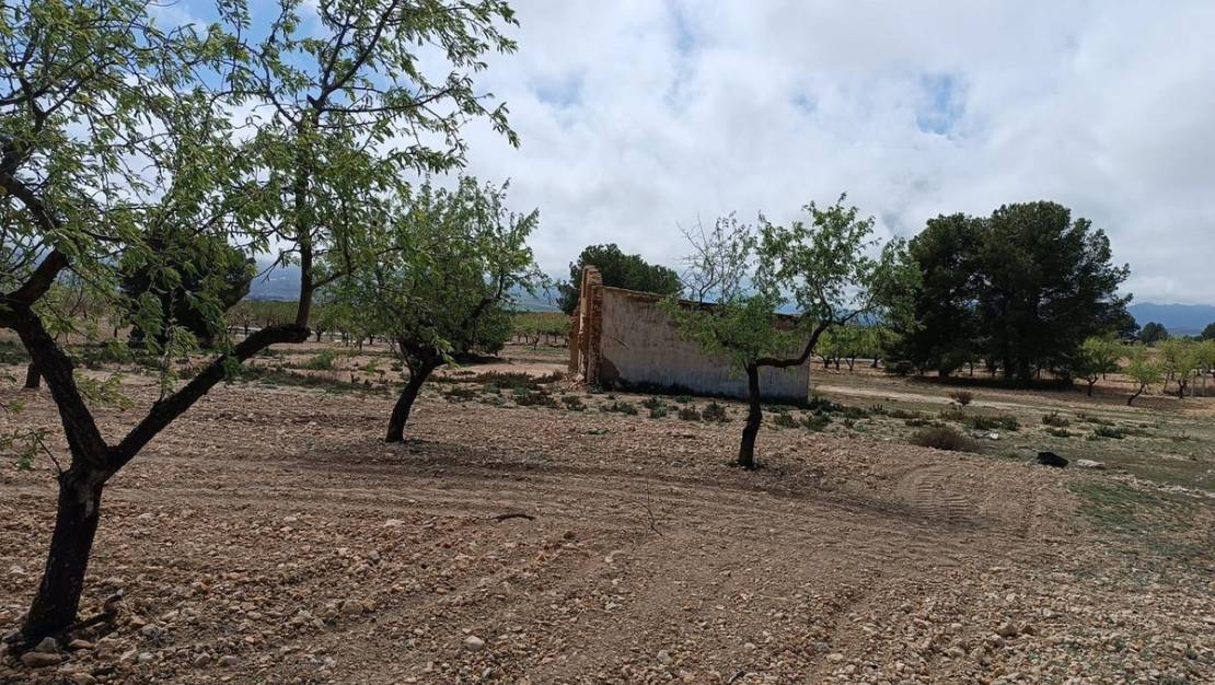 Venta - Land - Yecla - Yecla Centro