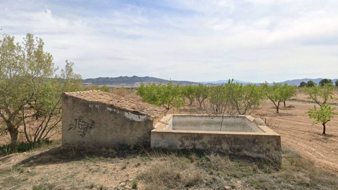 Venta - Land - Yecla - Yecla Centro