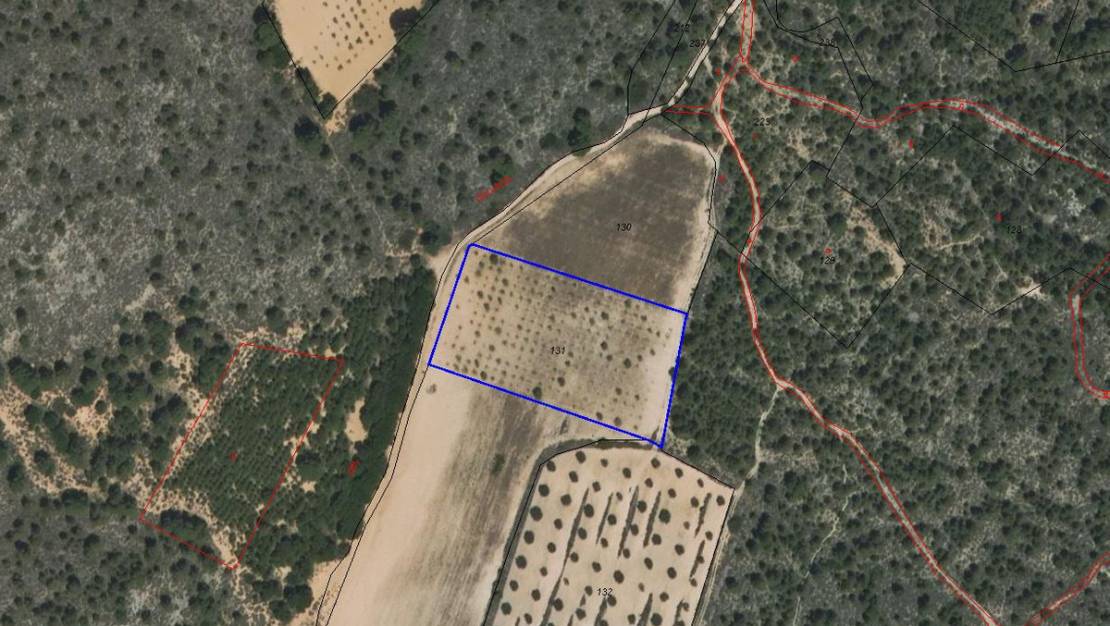 Venta - Land - Yecla - Yecla Centro