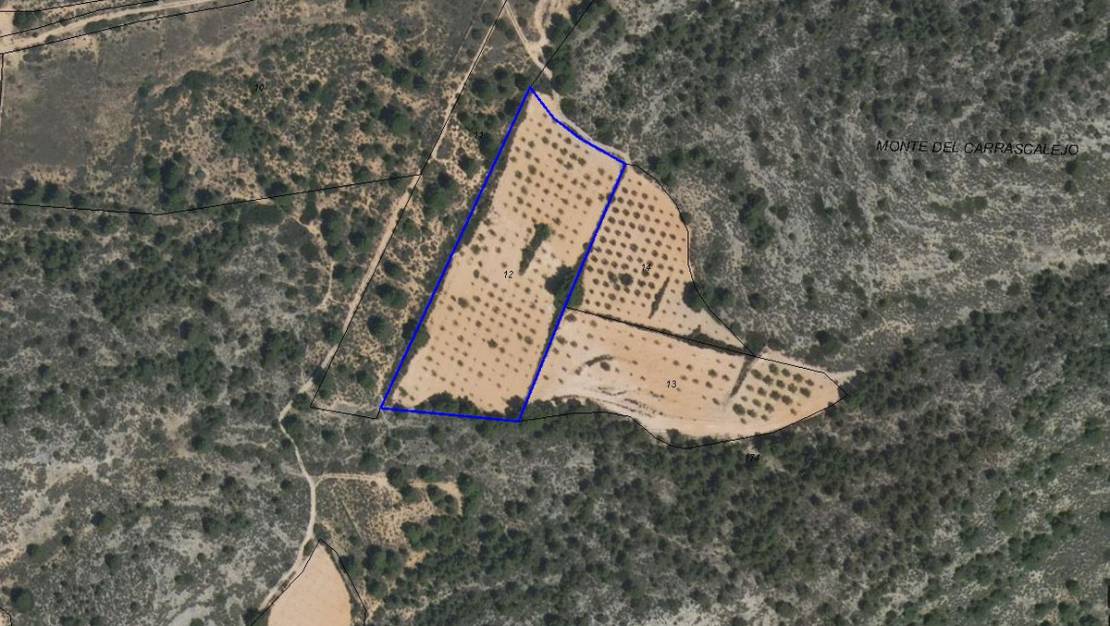 Venta - Land - Yecla - Yecla Centro