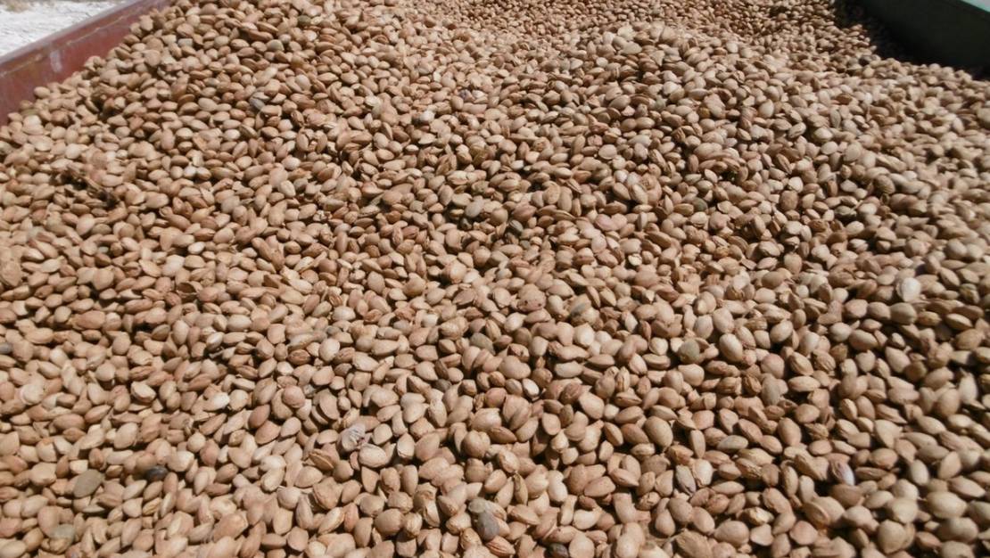 Venta - Land - Yecla - Yecla Centro