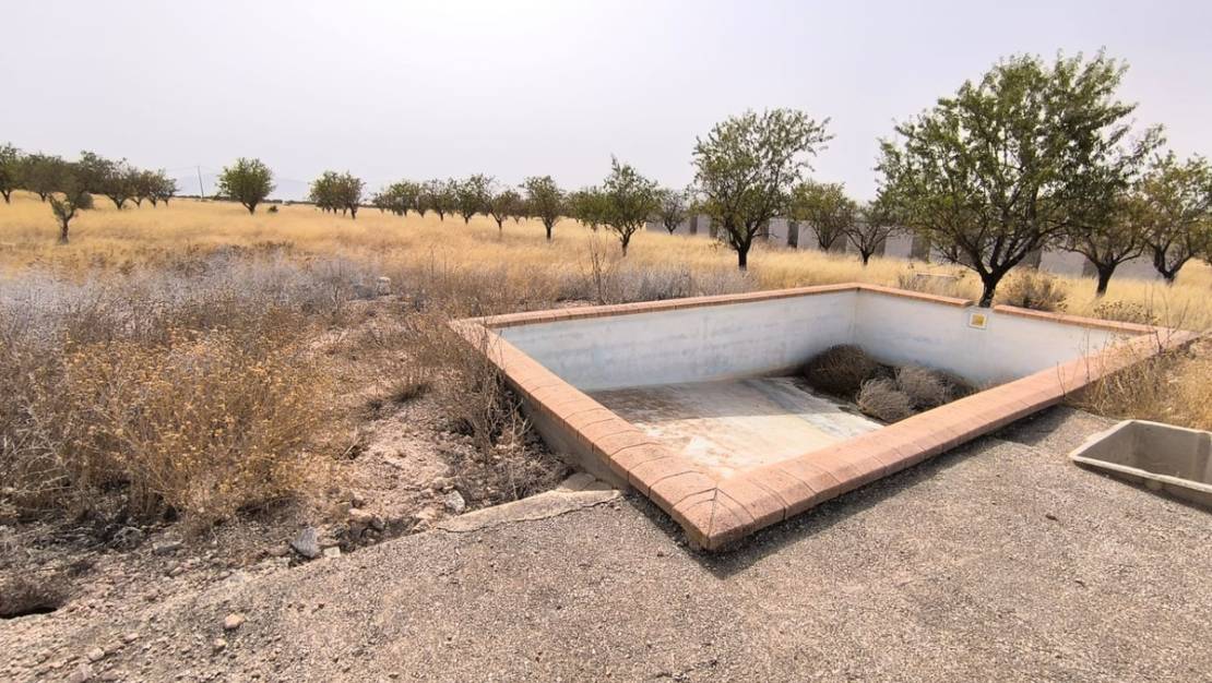 Venta - Land - Yecla - Yecla Centro