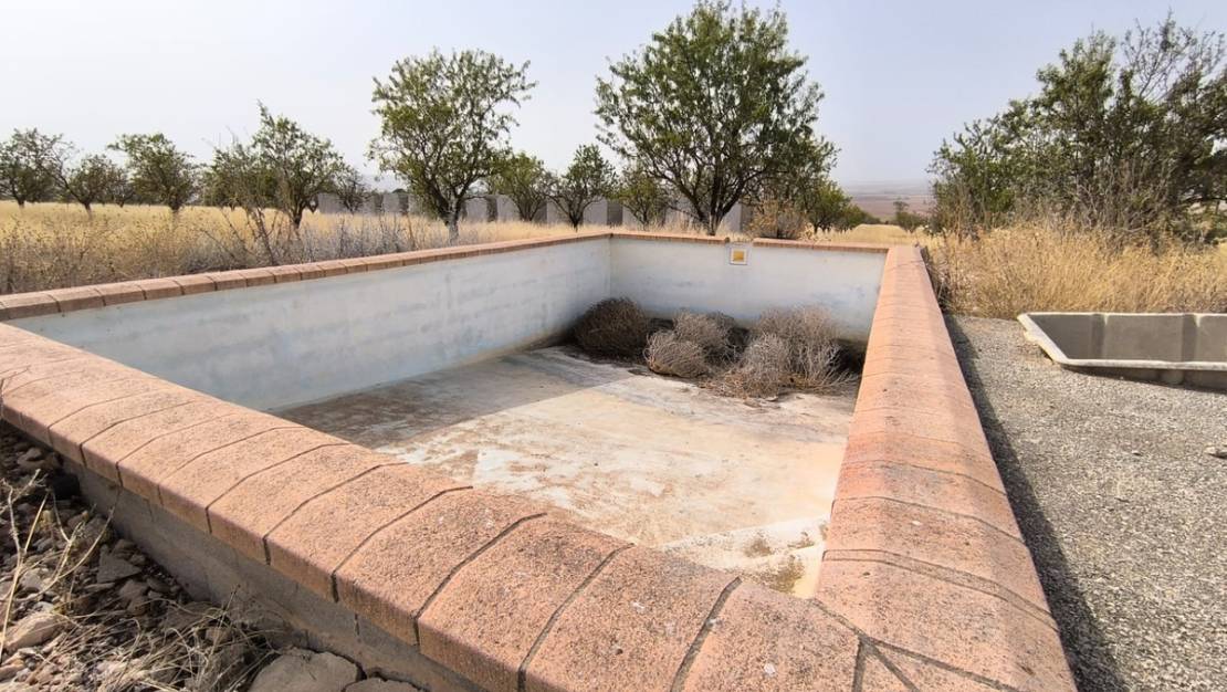 Venta - Land - Yecla - Yecla Centro