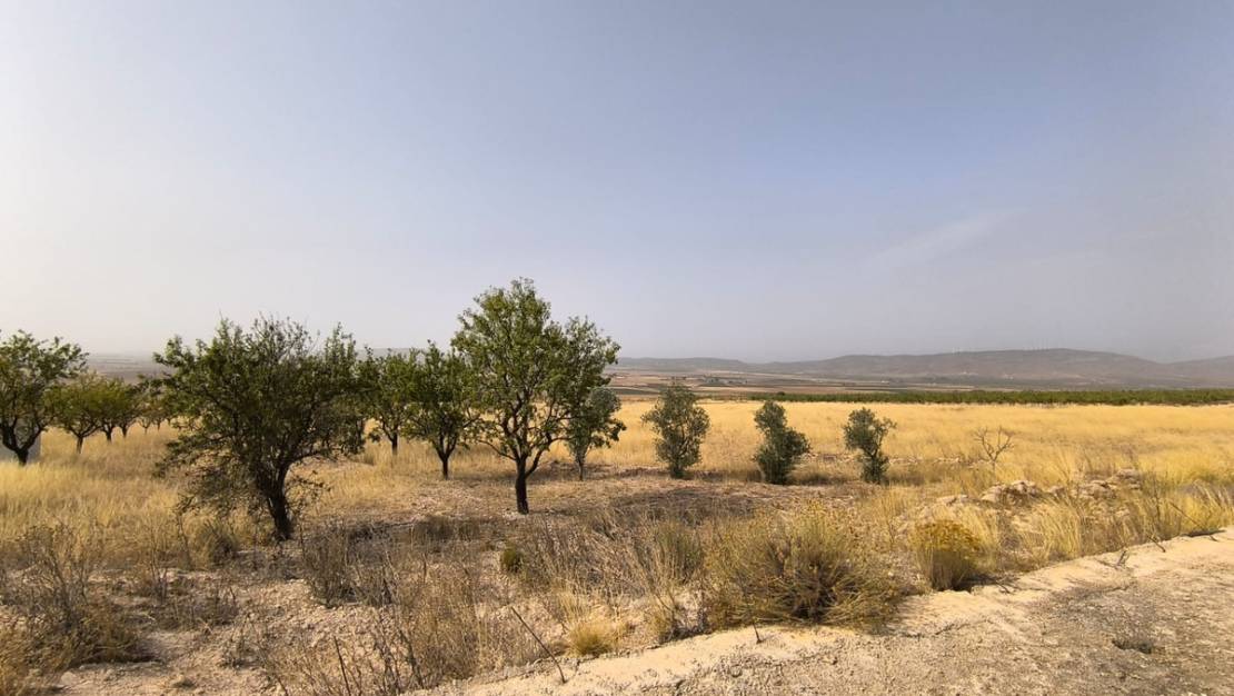 Venta - Land - Yecla - Yecla Centro