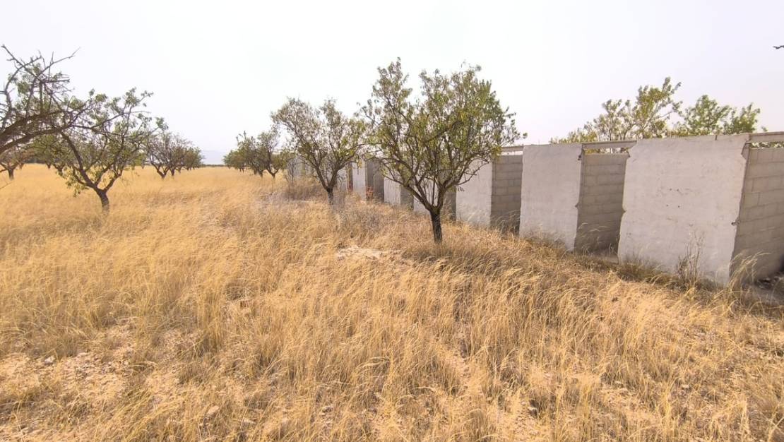 Venta - Land - Yecla - Yecla Centro