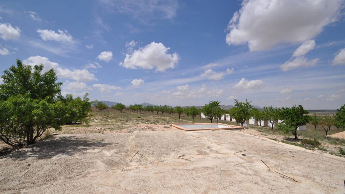 Venta - Land - Yecla - Yecla Centro