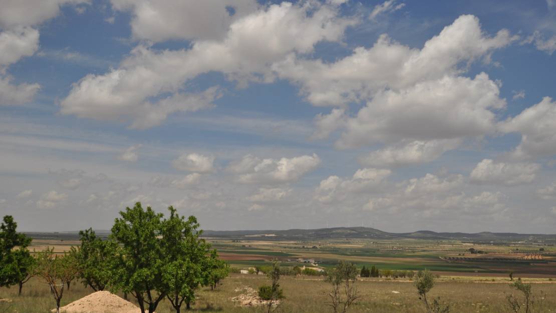 Venta - Land - Yecla - Yecla Centro