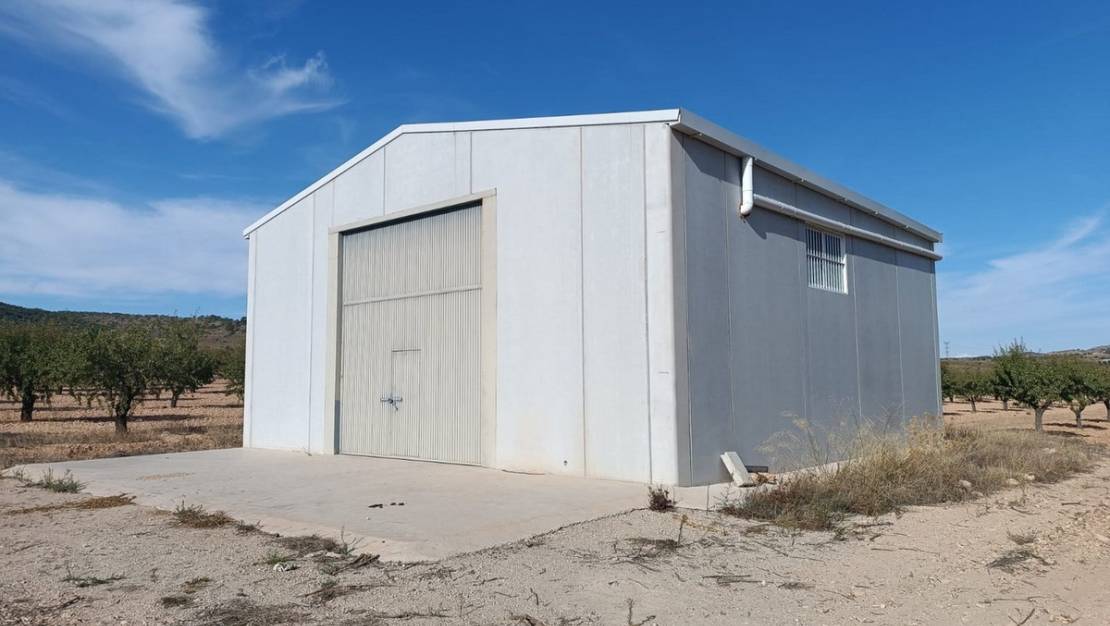 Venta - Land - Yecla - Yecla Centro