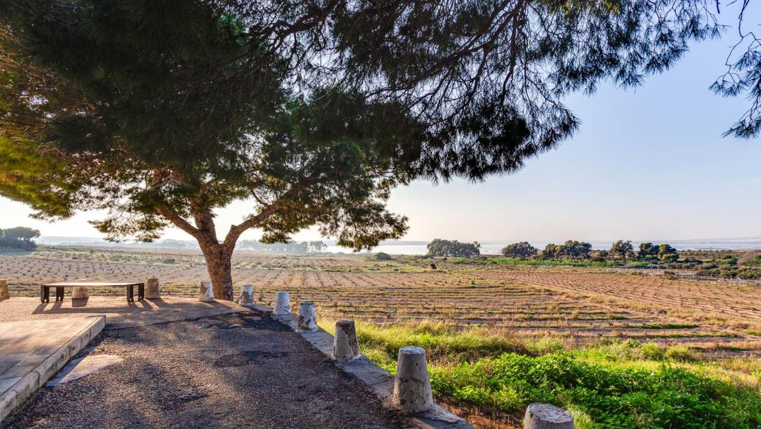 Venta - Semi - Torrevieja - La Siesta - El Salado - Torreta