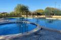 Venta - Semi - Torrevieja - Los Balcones