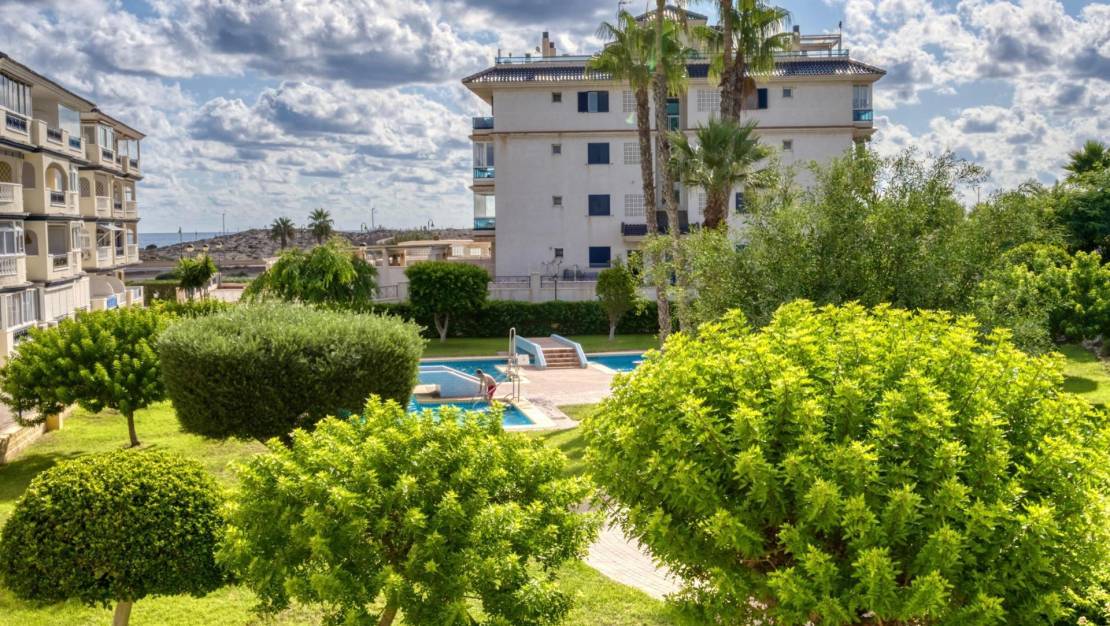 Venta - Studio - Torrevieja - Parque Acuático - Sector 25