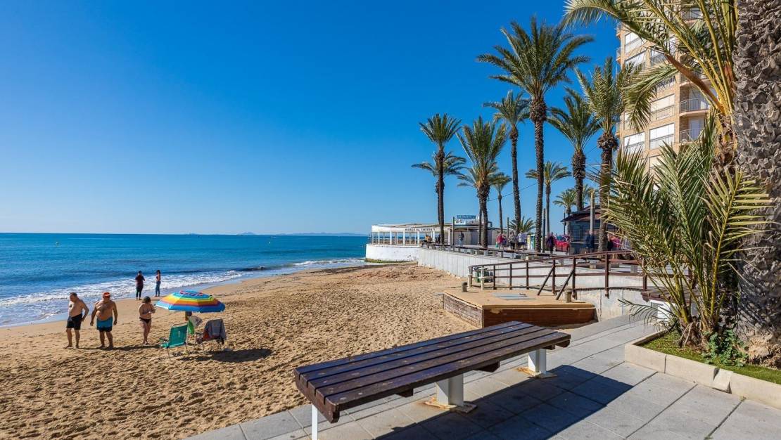 Venta - Terraced house - Torrevieja - Estacion de autobuses