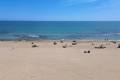 Venta - Terraced house - Torrevieja - La Mata