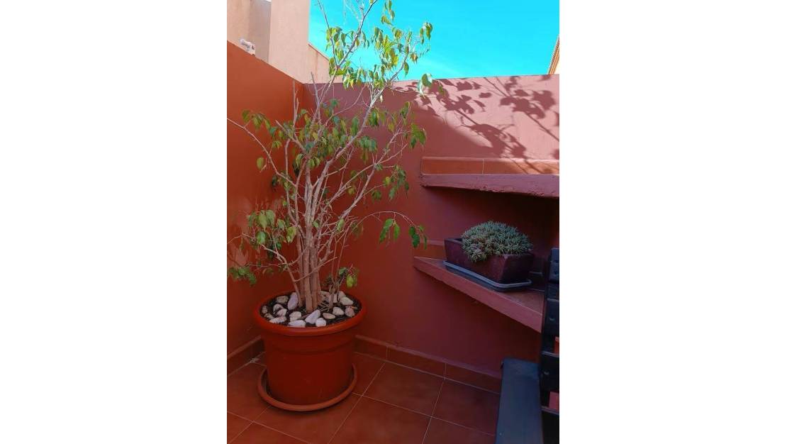 Venta - Terraced house - Torrevieja - Parque Acuático - Sector 25