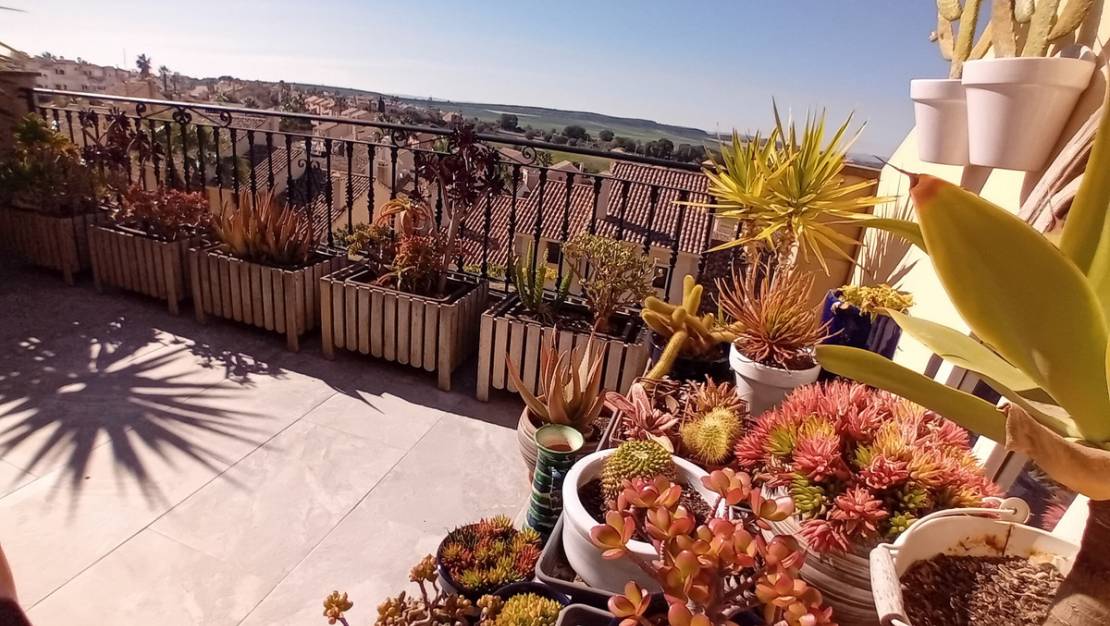 Venta - Town House - Algorfa - La finca golf