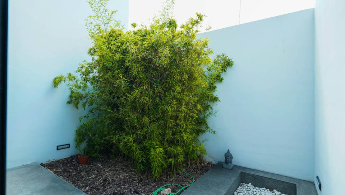 Venta - Town House - Almoradí - Almoradi Centro