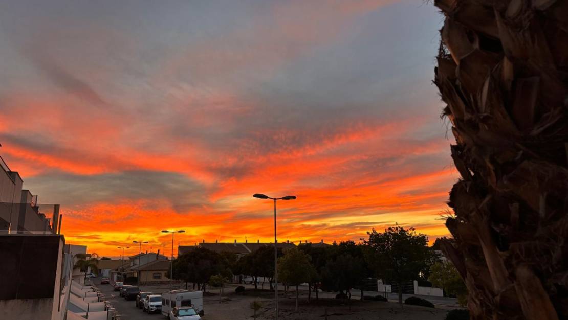 Venta - Town House - Murcia - Dolores