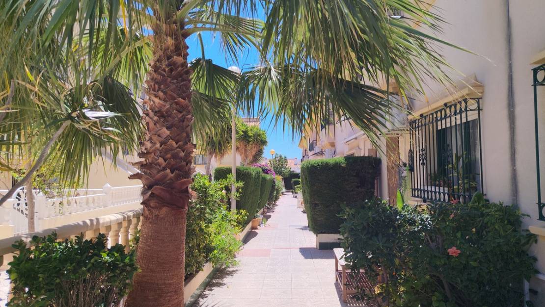 Venta - Town House - Orihuela - La Zenia