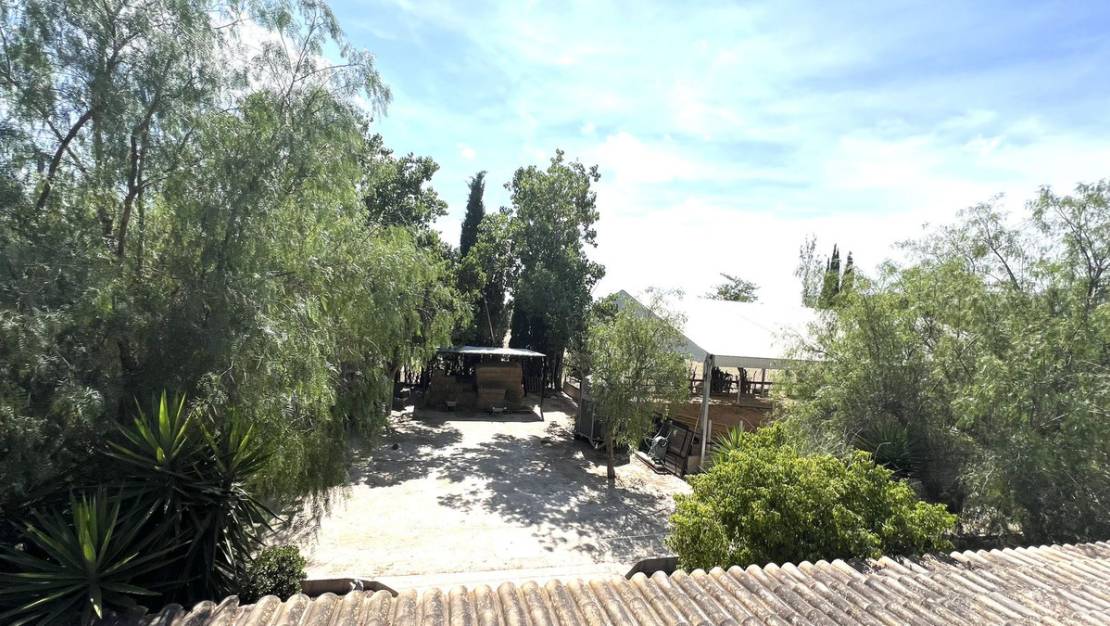 Venta - Town House - Orihuela - Orihuela Centro