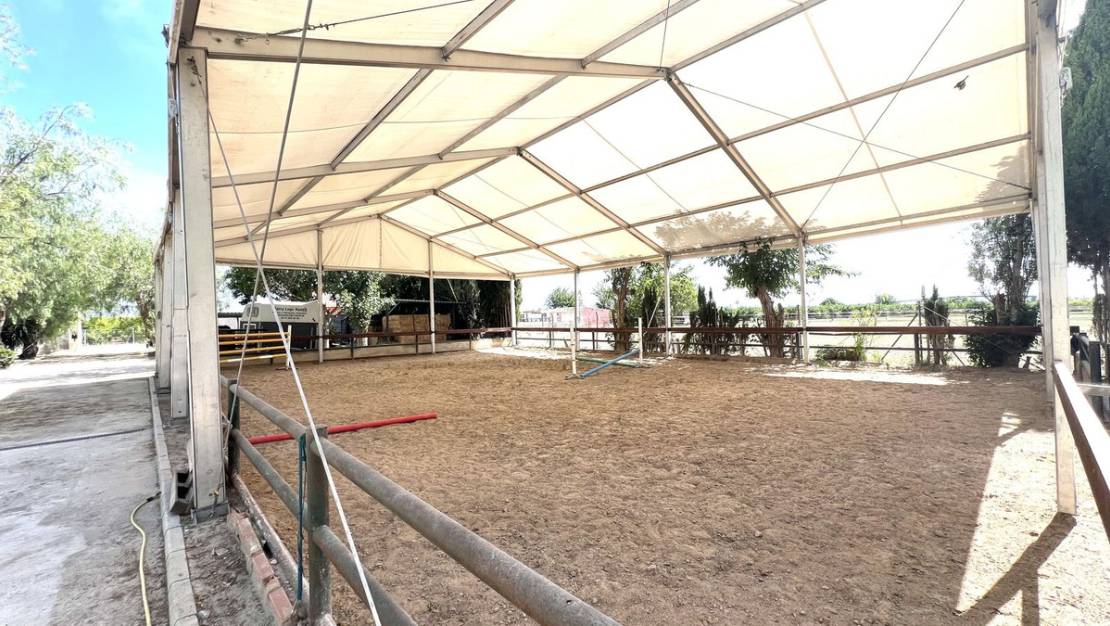 Venta - Town House - Orihuela - Orihuela Centro