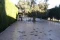 Venta - Town House - Orihuela - Orihuela Centro