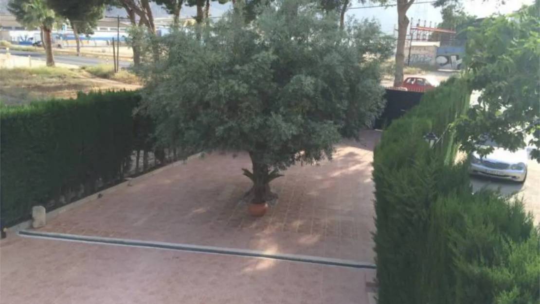 Venta - Town House - Orihuela - Orihuela Centro
