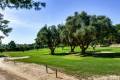 Venta - Town House - Orihuela - Orihuela Costa