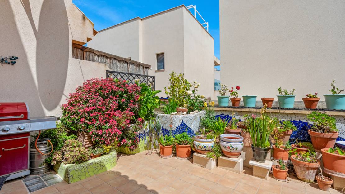 Venta - Town House - San Miguel de Salinas - San Miguel de Salinas Centro