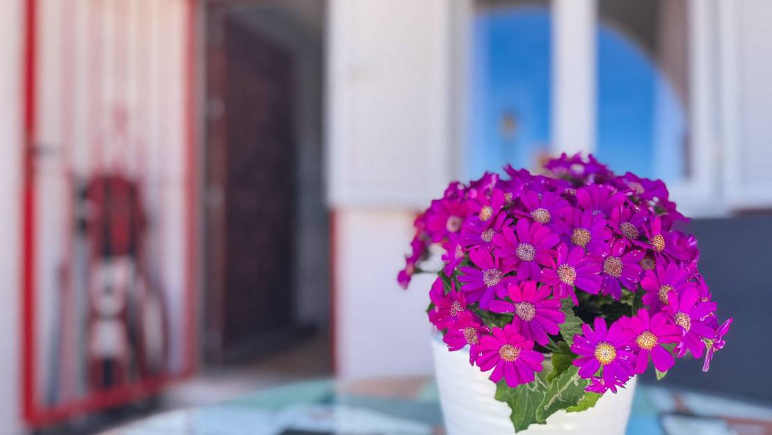Venta - Town House - Torrevieja - Cabo cervera