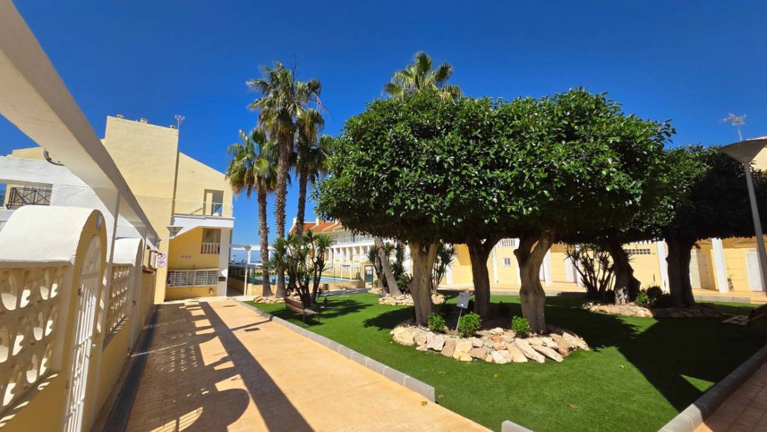 Venta - Town House - Torrevieja - La Mata
