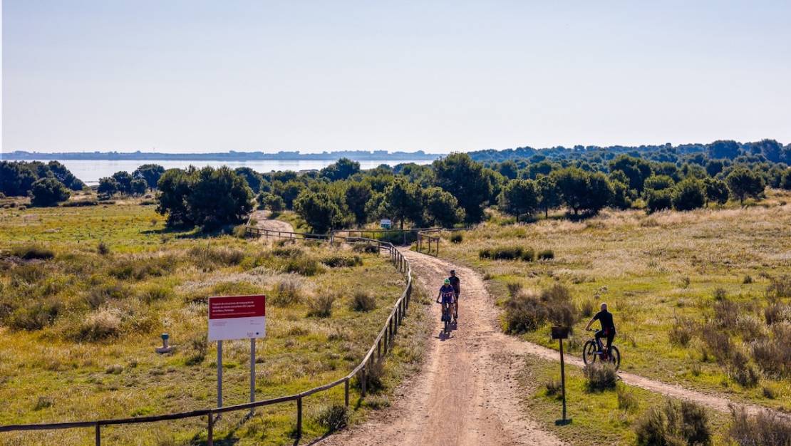 Venta - Town House - Torrevieja - Torrevieja Centro