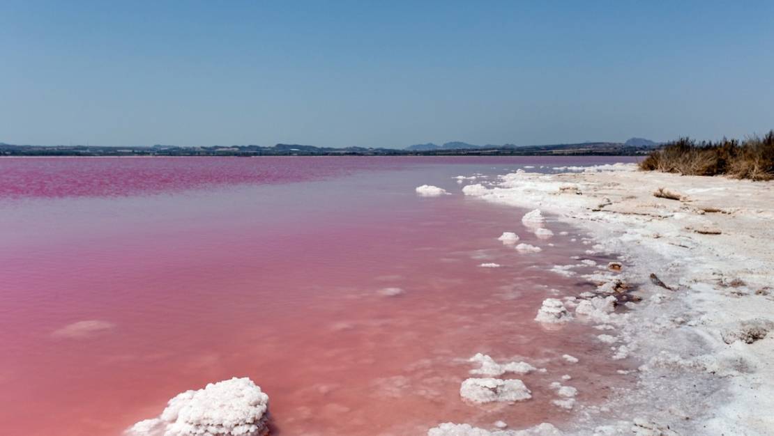 Venta - Town House - Torrevieja - Torrevieja Centro